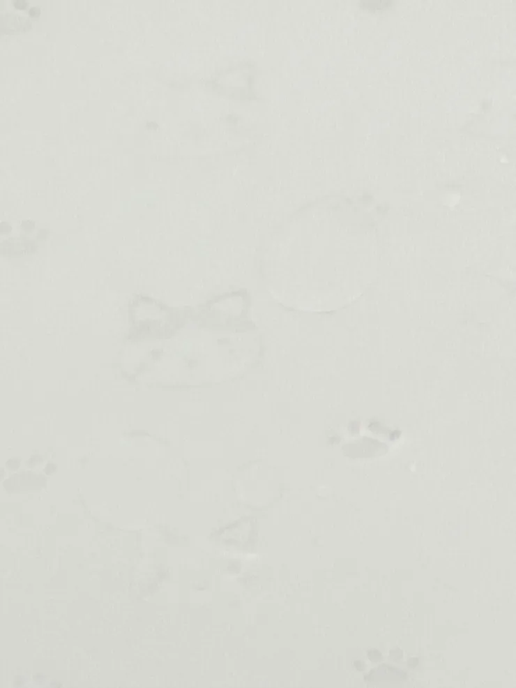 Mascarilla higiénica Gatos, foto 4